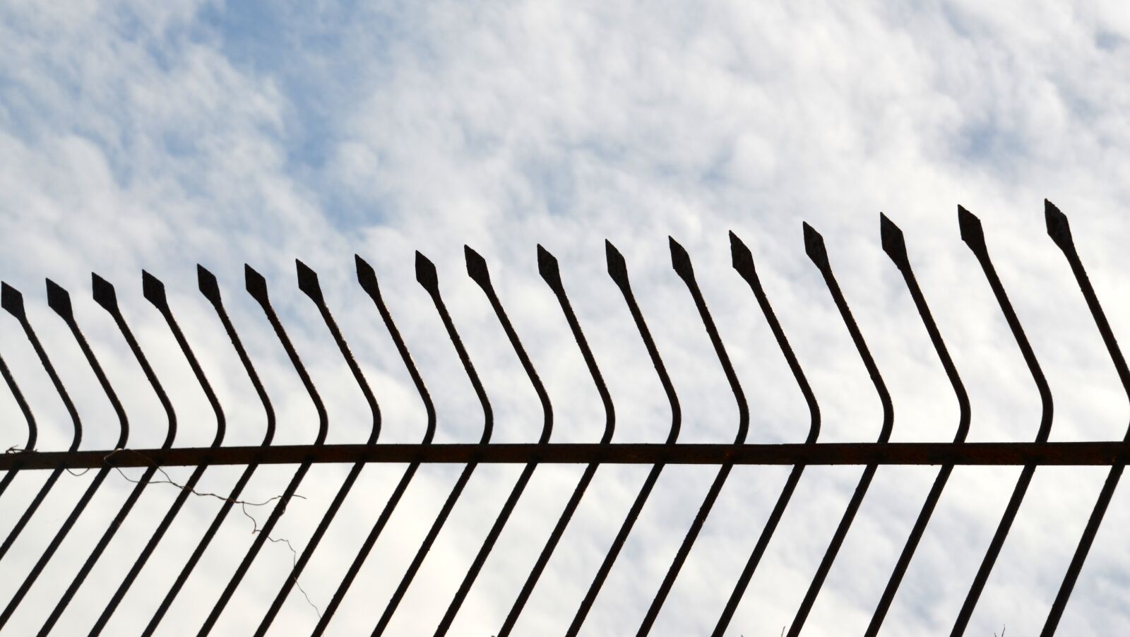 Nikon D5100 sample photo. Structure, series, fence photography