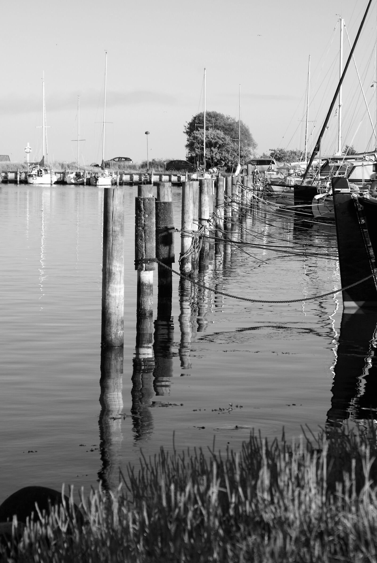 Sony Alpha DSLR-A300 sample photo. Port, black, white photography