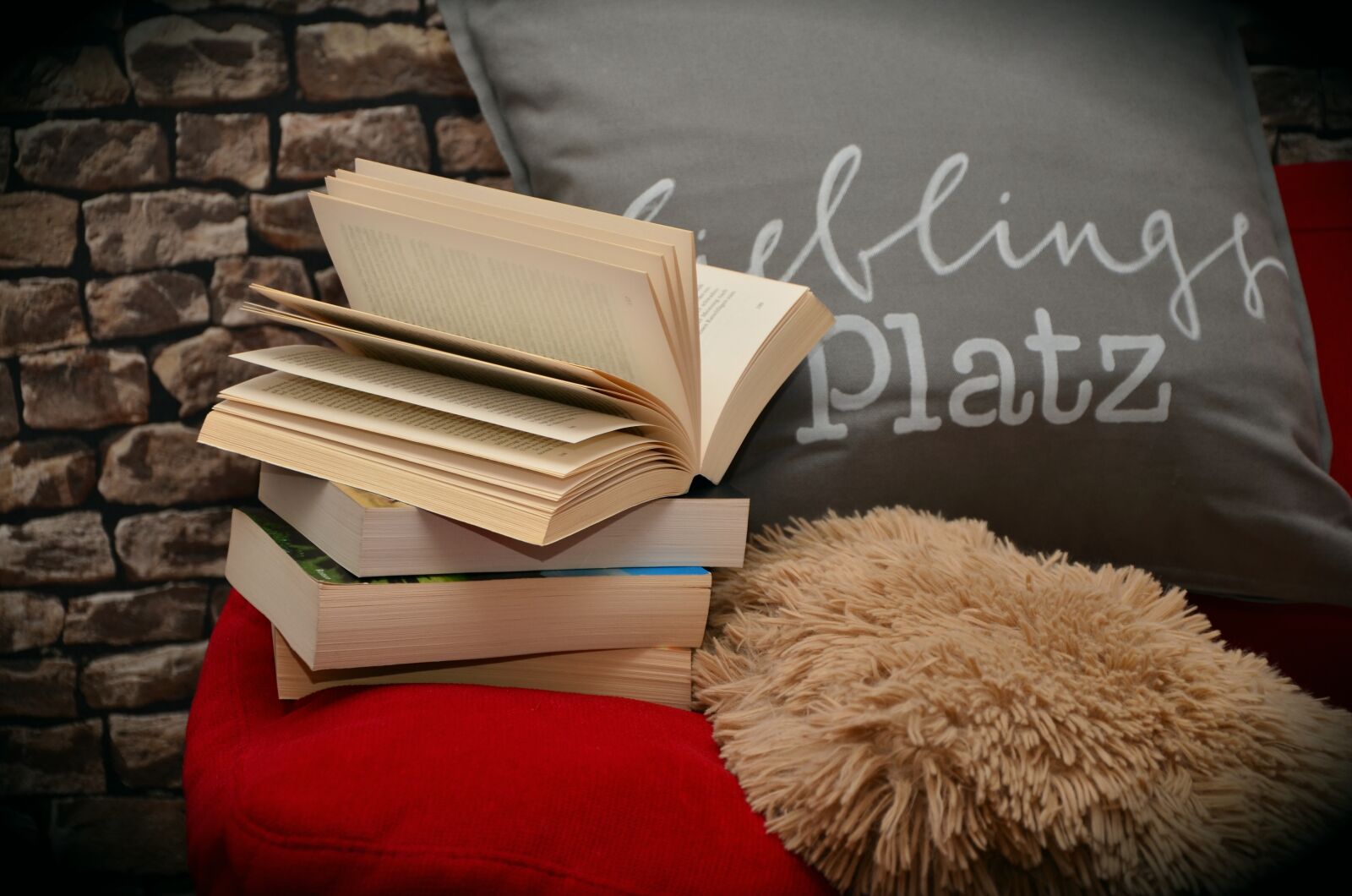 Nikon D5100 sample photo. Books, book, read photography