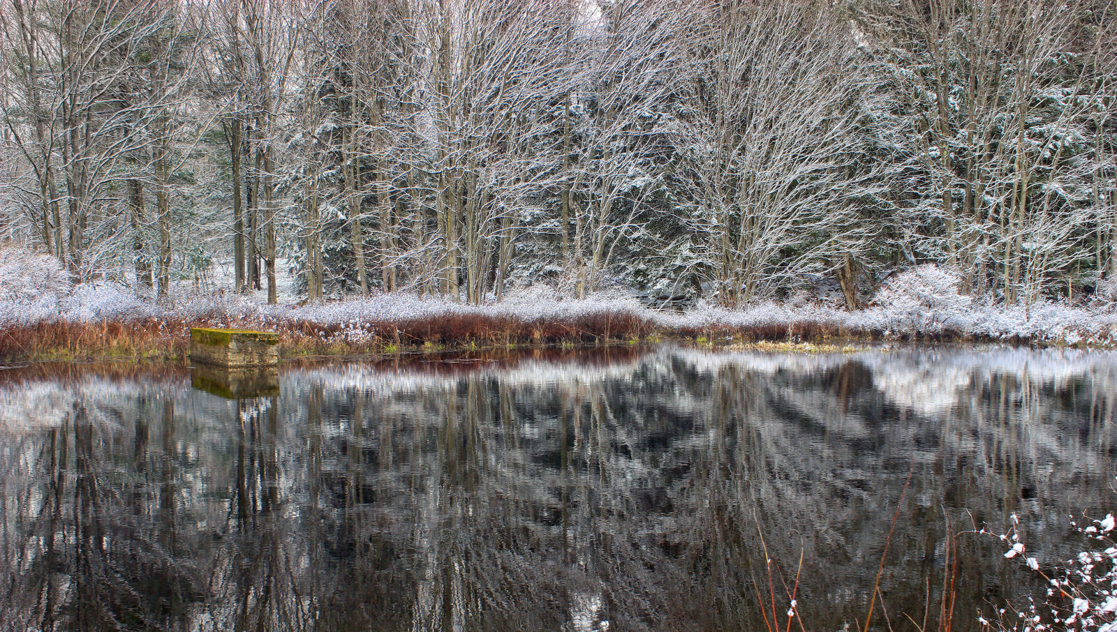 Canon EOS 600D (Rebel EOS T3i / EOS Kiss X5) sample photo. Body, of, water, near photography