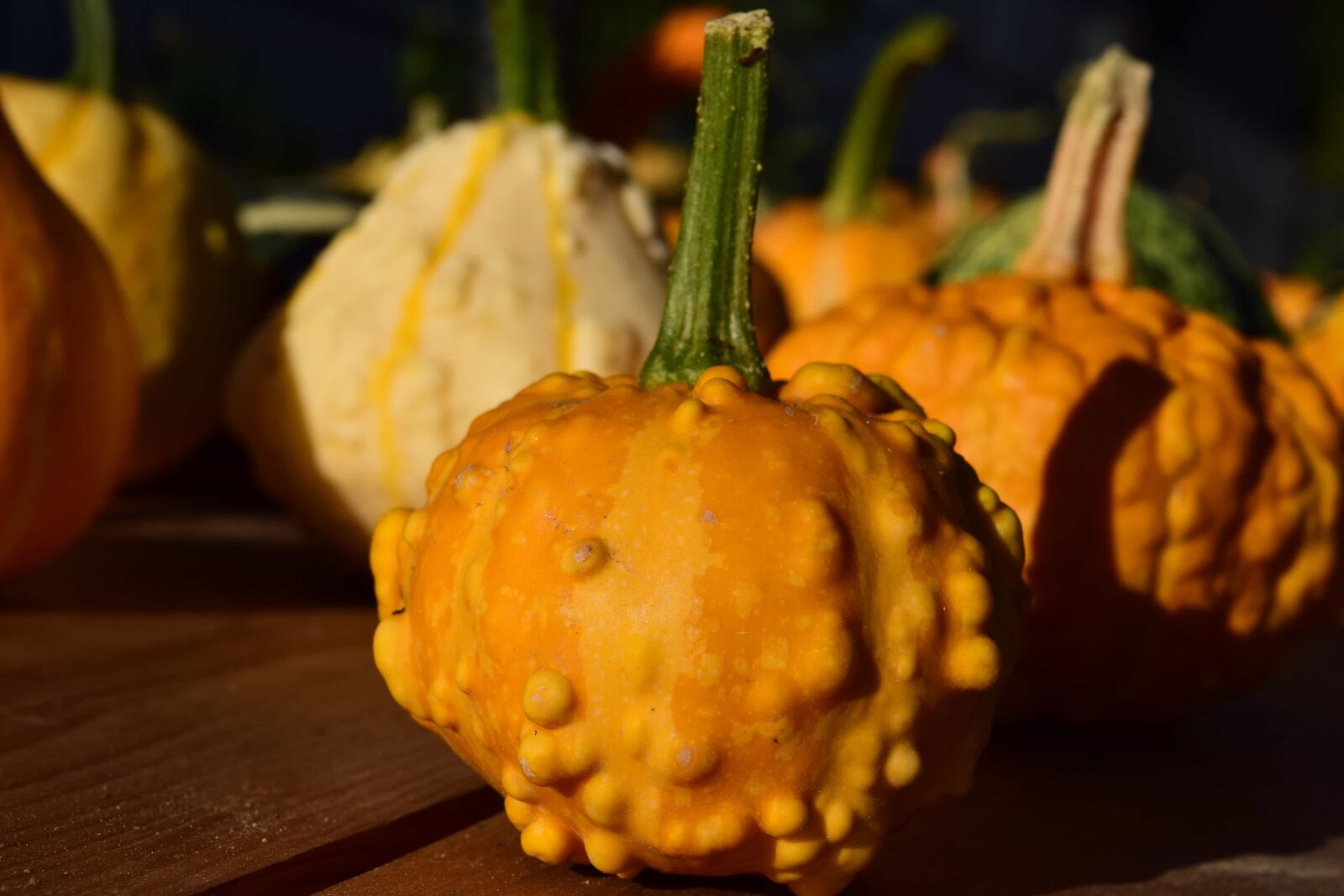 Nikon D3300 sample photo. Organic, autumn, agriculture, food photography