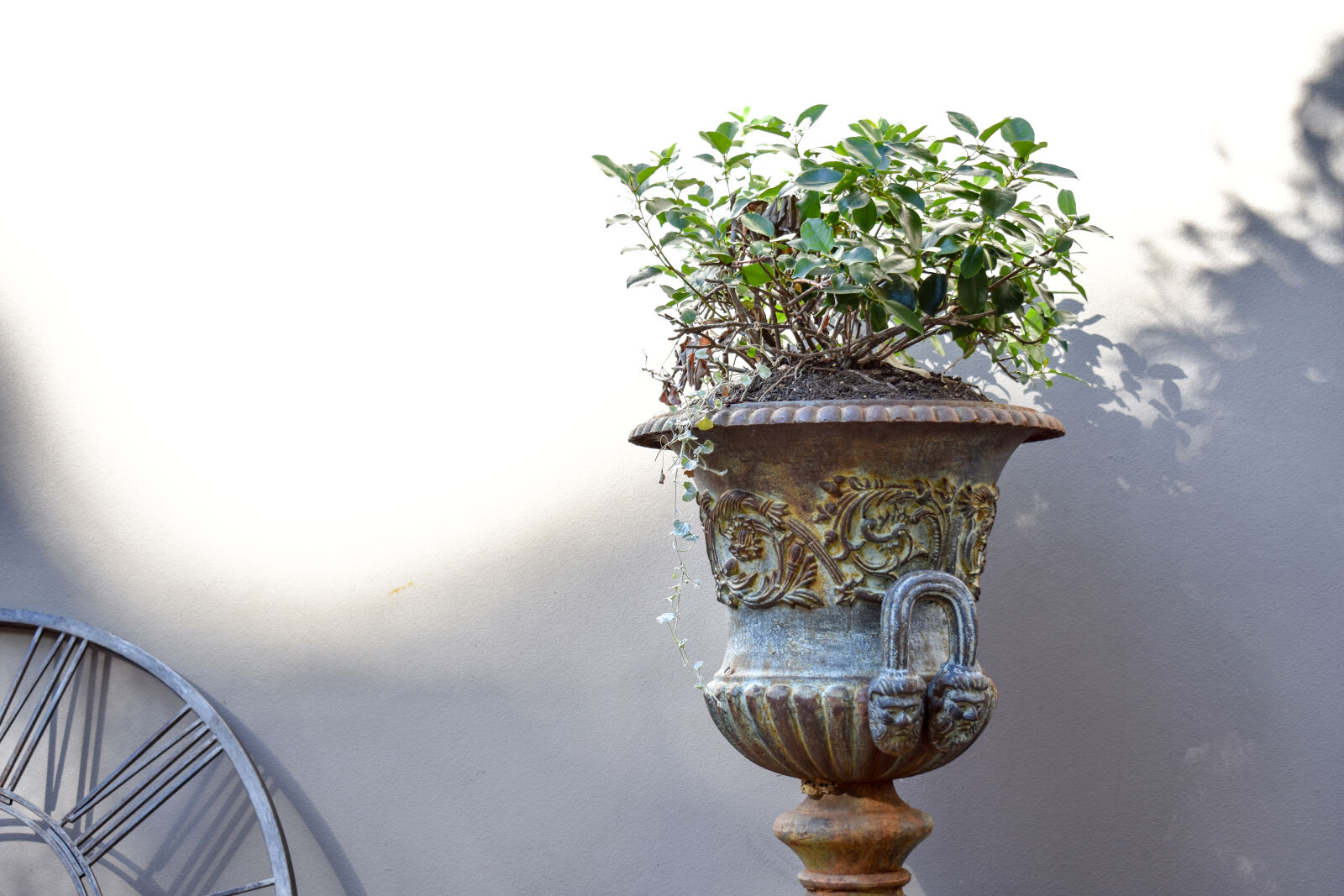 Nikon D3400 sample photo. Flower, pot, flower, pots photography