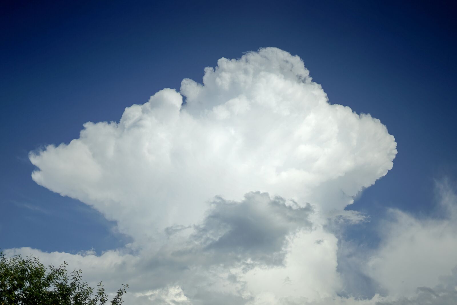 Sony a7 II + Sony FE 50mm F1.8 sample photo. Cloud, white, sky photography