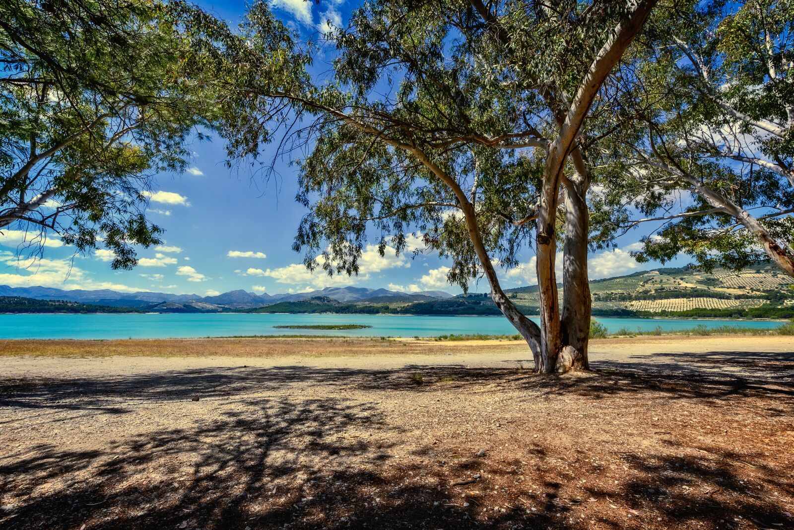 Nikon Z6 sample photo. Landscape, idyll, tree photography