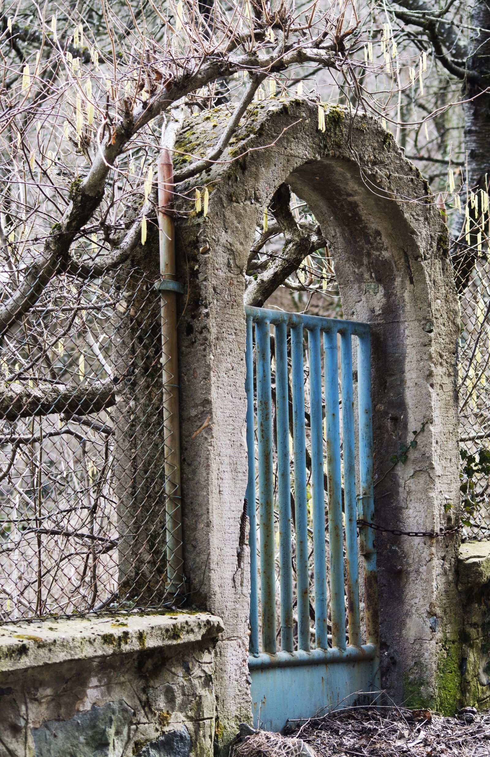 Nikon D5100 sample photo. Spring, buds, metal photography