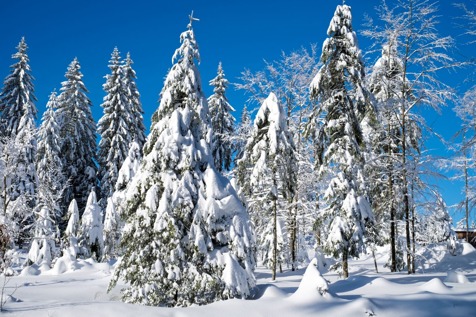Fujifilm X-T10 + Fujifilm XF 35mm F1.4 R sample photo. Wintry, christmas landscape, winter photography