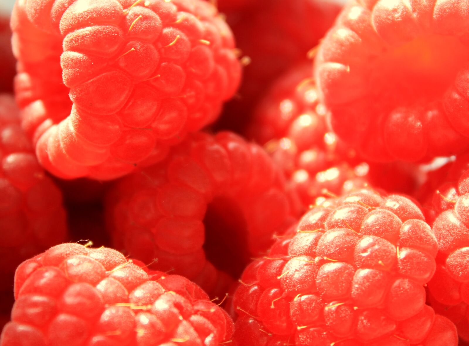Canon EOS 1100D (EOS Rebel T3 / EOS Kiss X50) sample photo. Raspberry, raspberries, berries photography