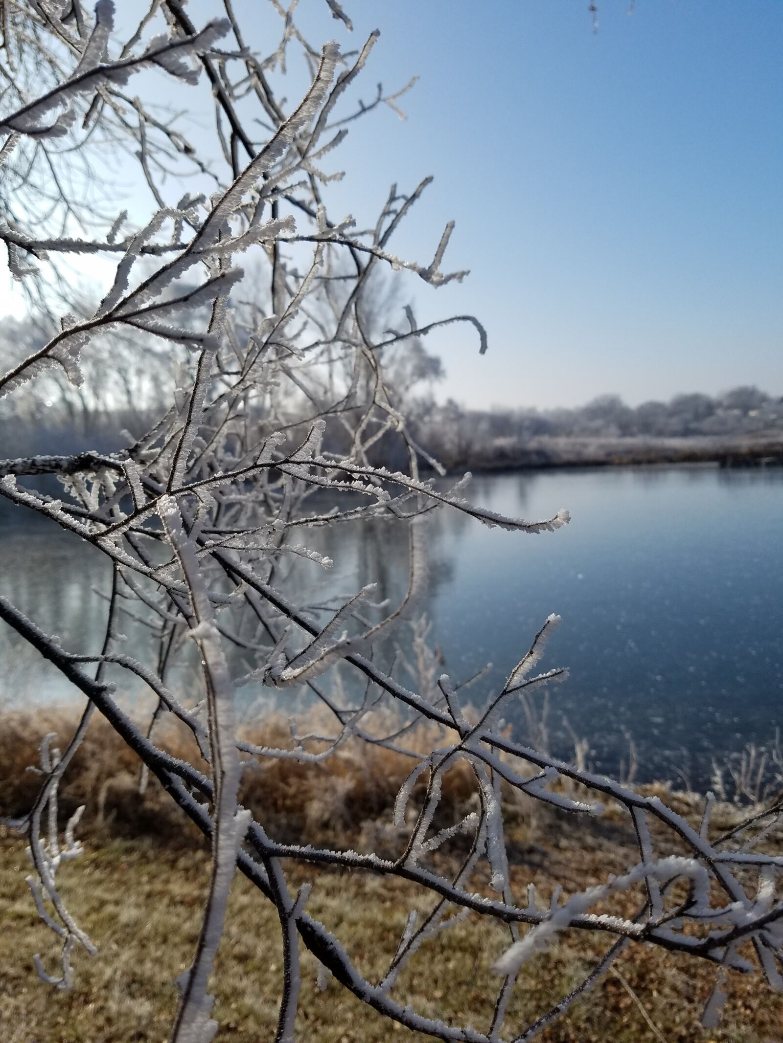 Samsung Galaxy S7 sample photo. Winter, frozen, frost photography