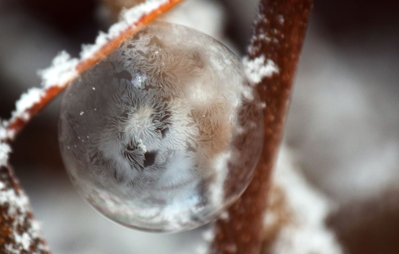 Nikon D3300 sample photo. Bubble, soap bubble, frozen photography