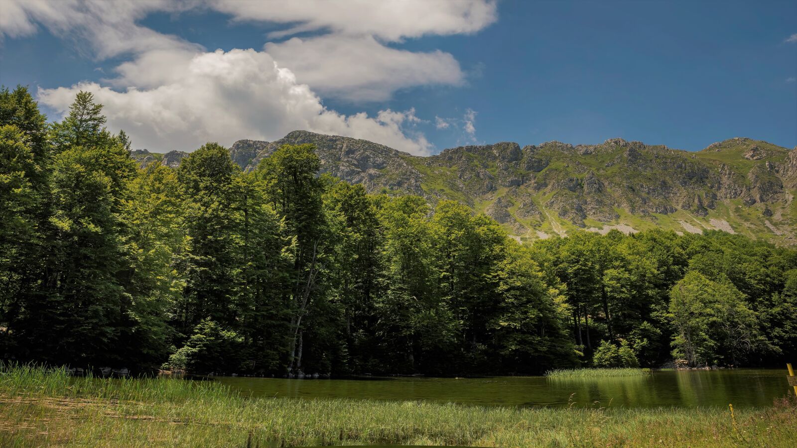 Tamron SP 24-70mm F2.8 Di VC USD sample photo. Green, mountain, landscape photography