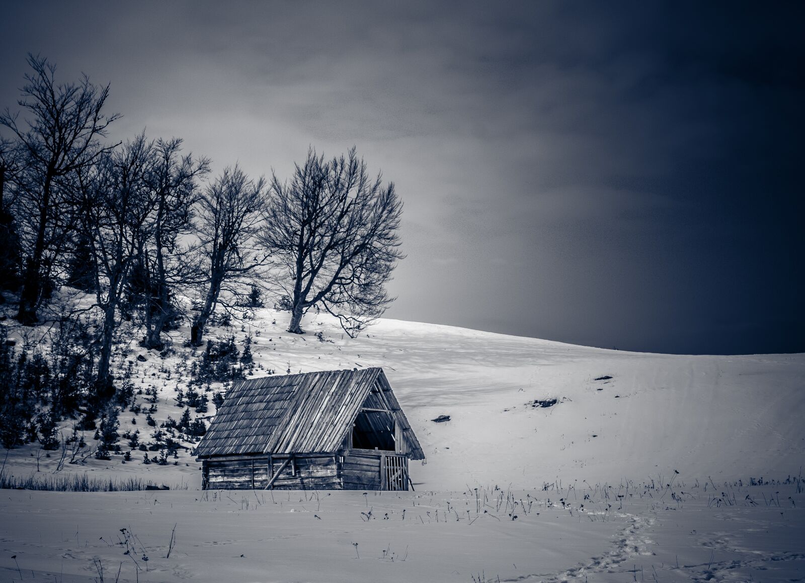 Nikon D7000 sample photo. Winter, snow, nature photography
