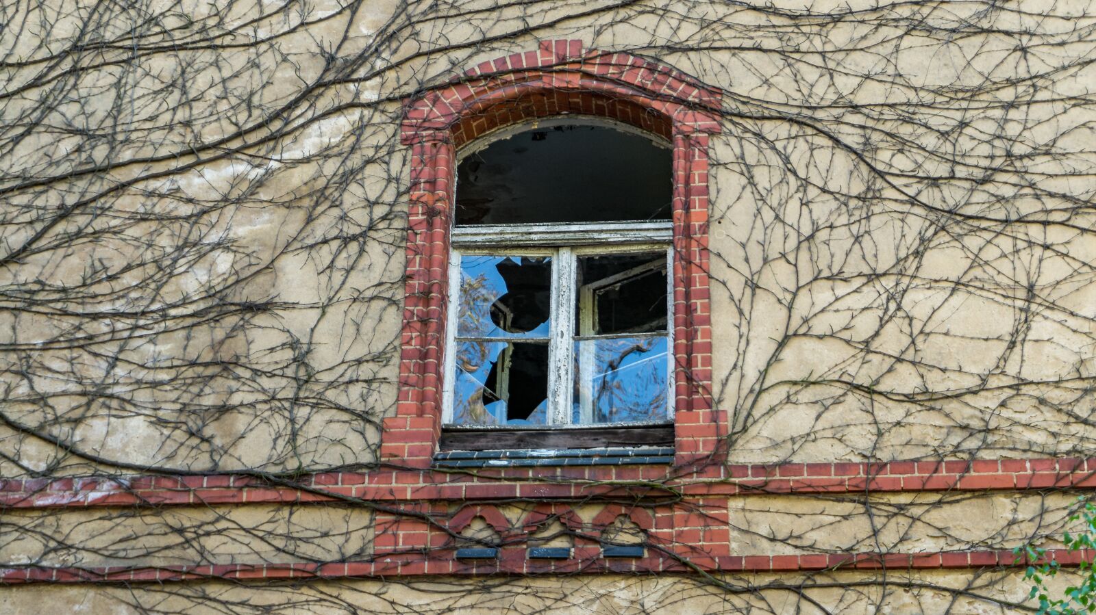 Sony Alpha a5000 (ILCE 5000) sample photo. Window, facade, old window photography