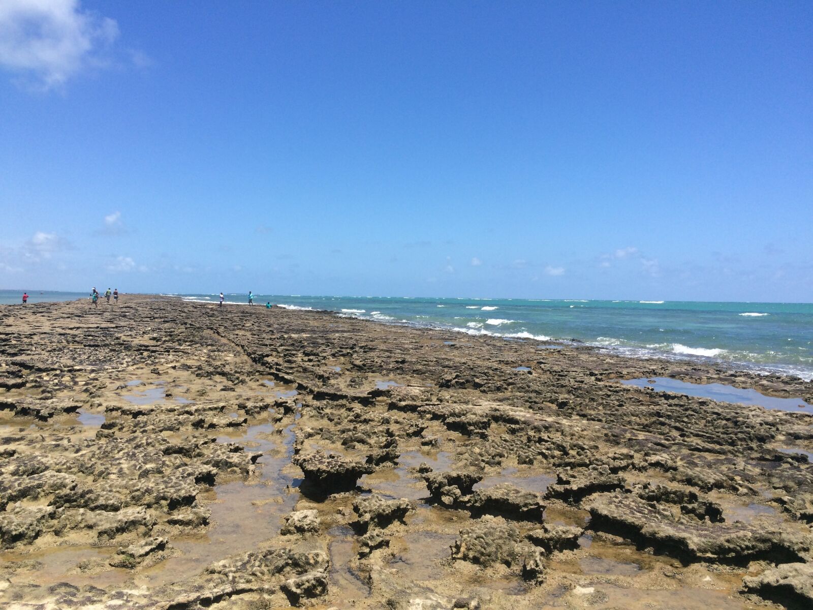 iPhone 5s back camera 4.15mm f/2.2 sample photo. Beach, the rams, coral photography