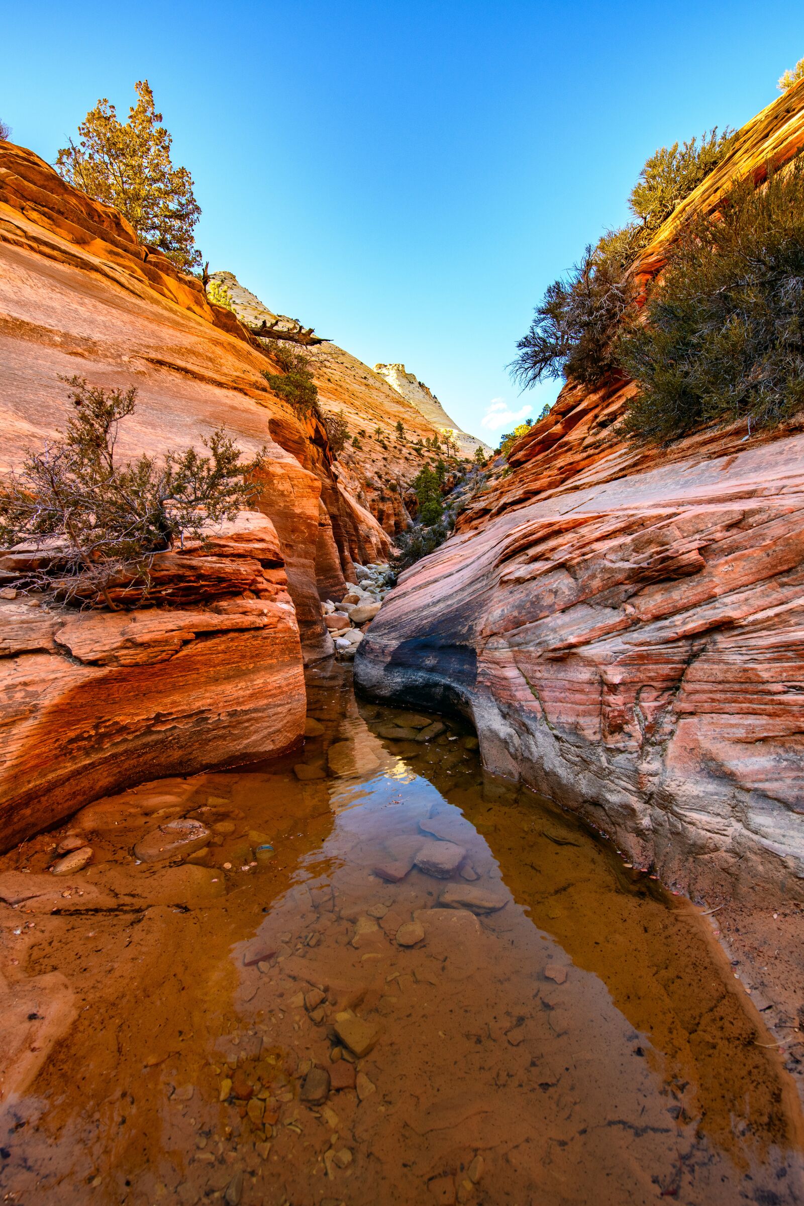 Nikon D850 sample photo. Zion, utah, landscape photography