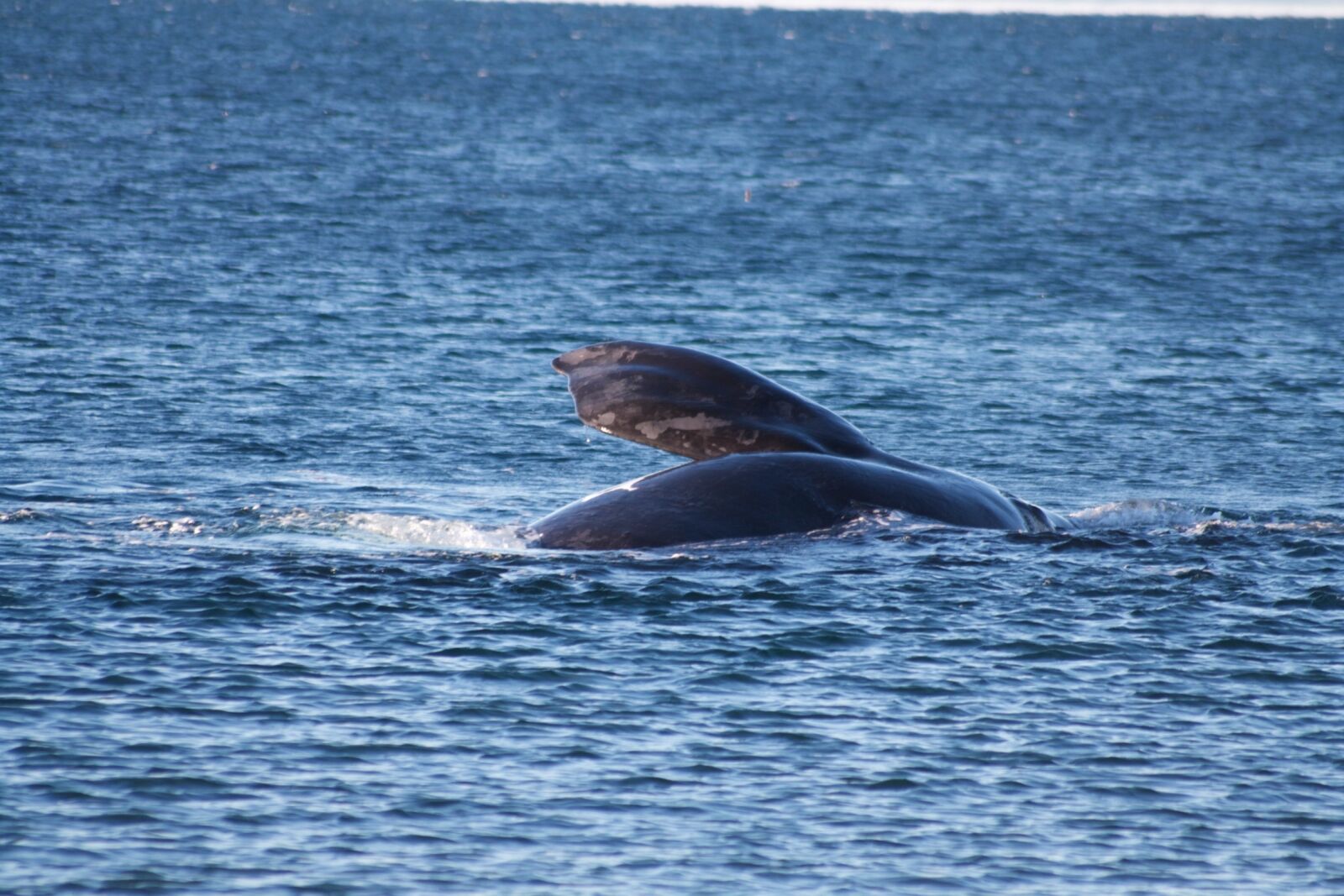 Canon EOS 1000D (EOS Digital Rebel XS / EOS Kiss F) sample photo. Body of water, sea photography
