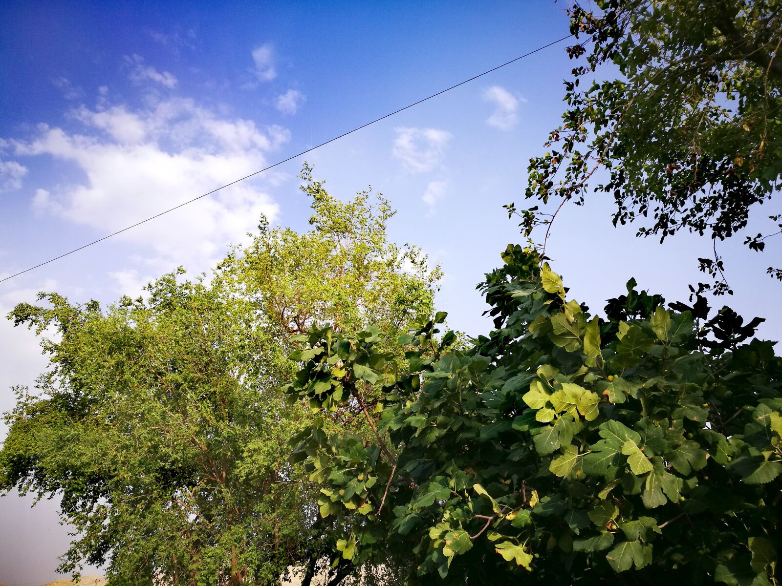 HUAWEI P9 sample photo. Natural, tigan, iran photography