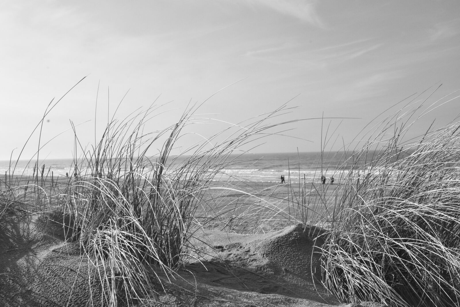 Nikon D7200 sample photo. Beach, dune, norderney photography