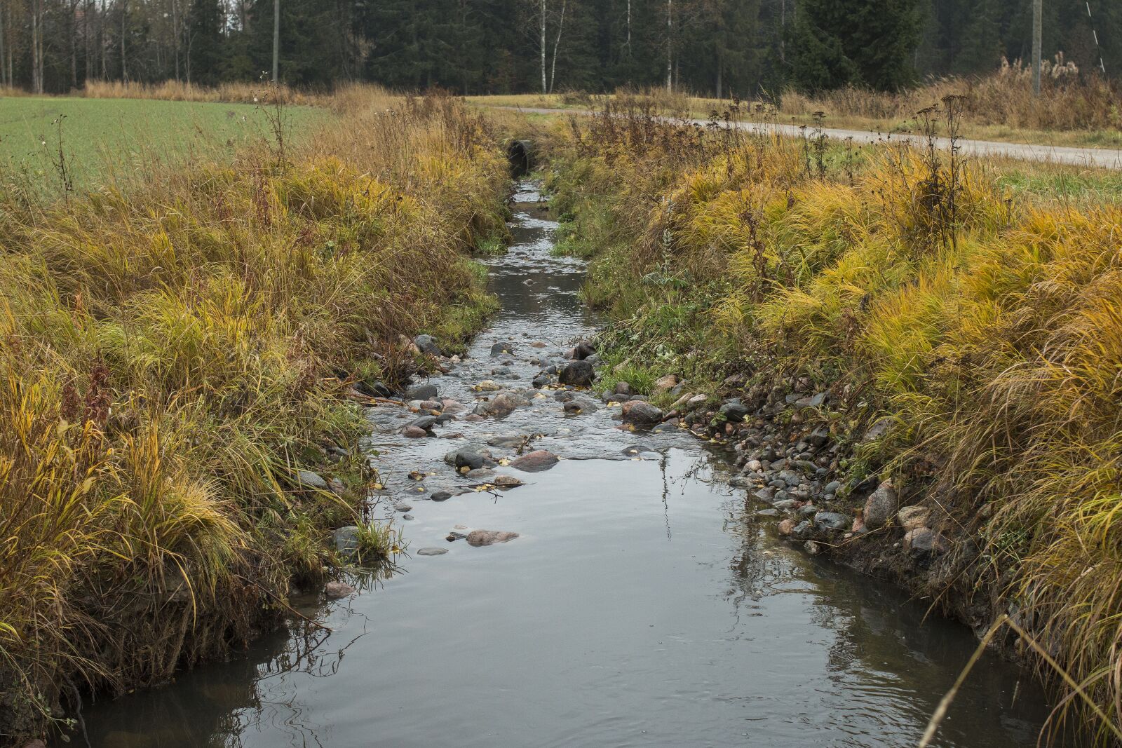 Canon EOS 70D + Canon EF 35mm F2 sample photo. Ditch, autumn, water photography