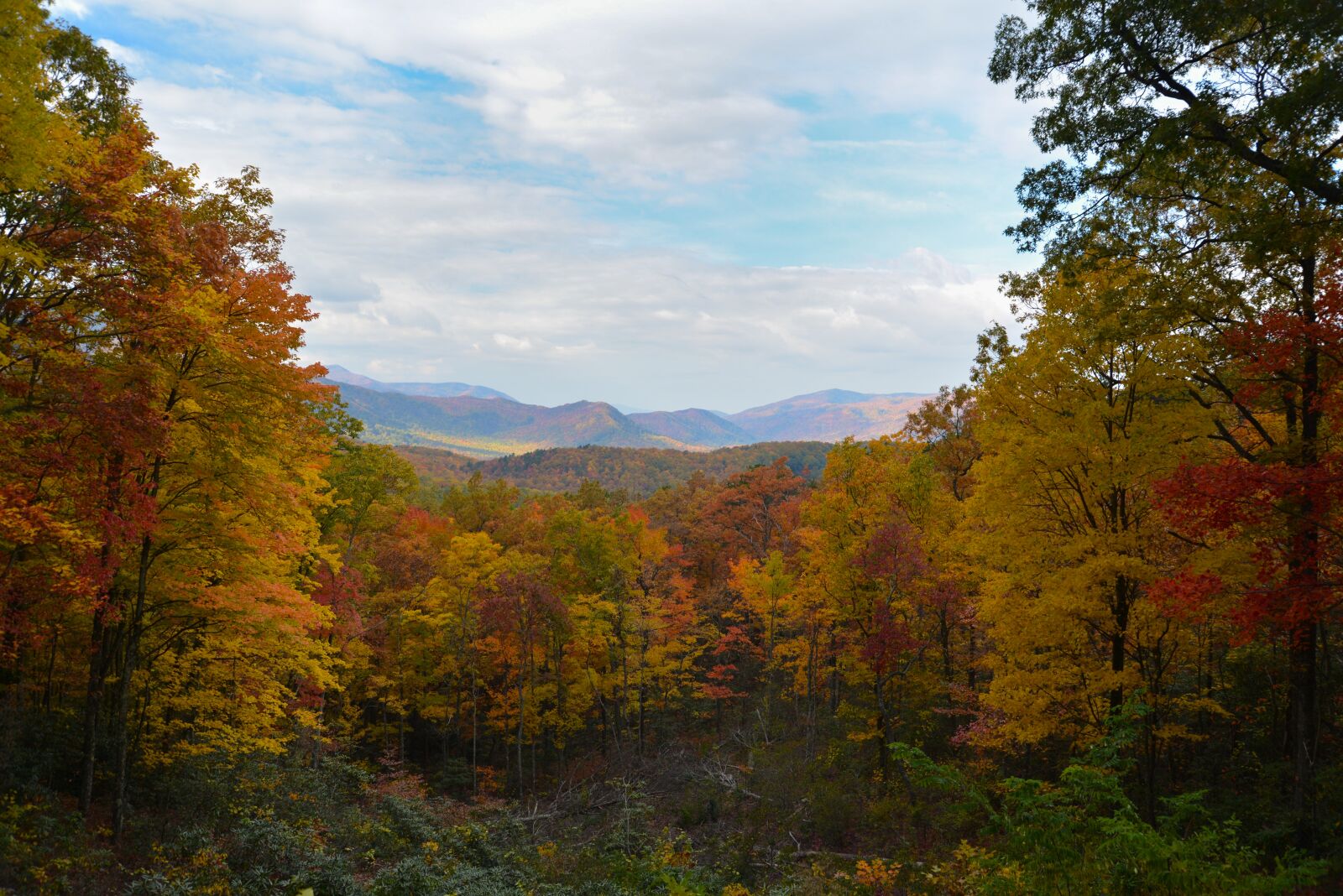 Nikon D600 sample photo. Smoky mountain national park photography