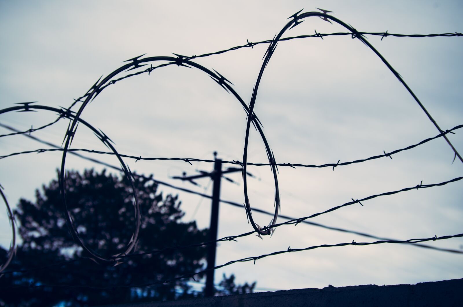 Pentax K-50 sample photo. Barb wire, razor wire photography