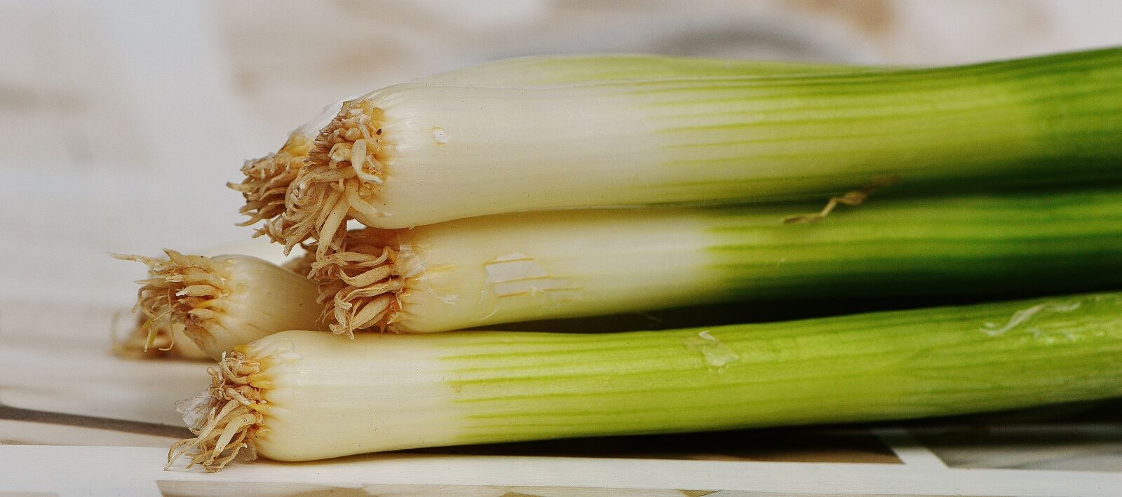 Nikon D3200 sample photo. Spring onions, leek, delicious photography