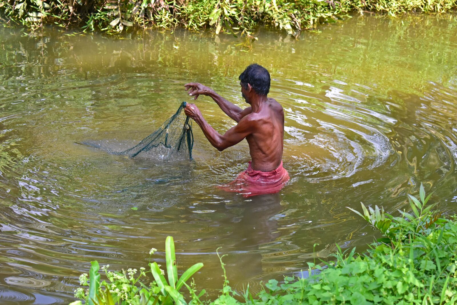 Nikon D3400 sample photo. Kerala, fishing, cochin photography