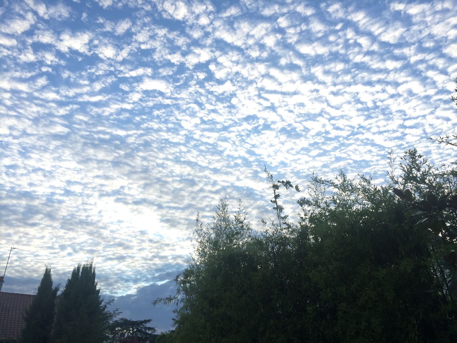 iPhone 6 Plus back camera 4.15mm f/2.2 sample photo. Cloud, sky, nature photography