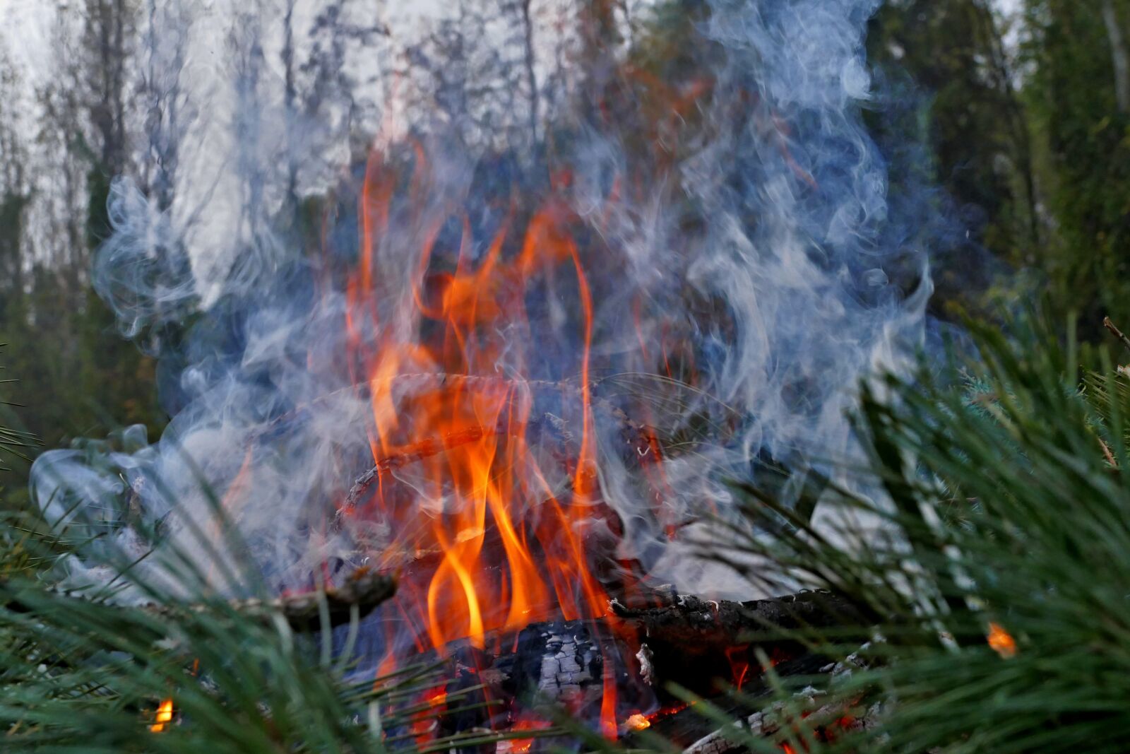 Panasonic Lumix DMC-FZ1000 sample photo. Fire, smoke, burning photography