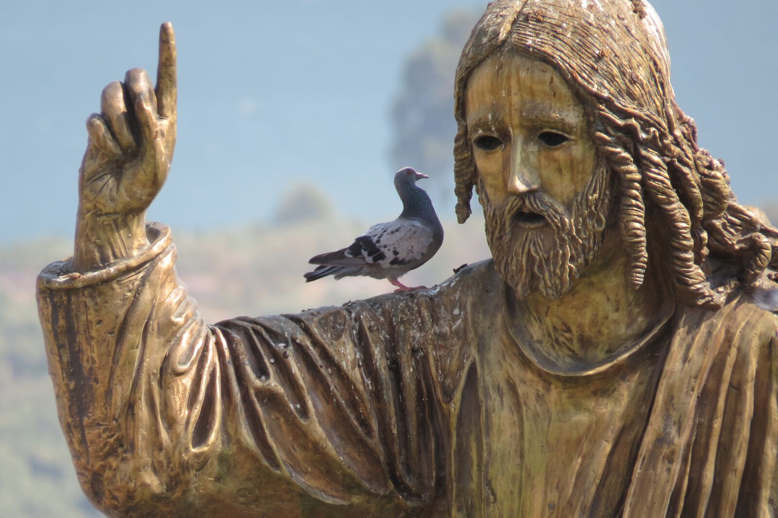 Canon PowerShot SX50 HS sample photo. Israel, jesus, bird photography