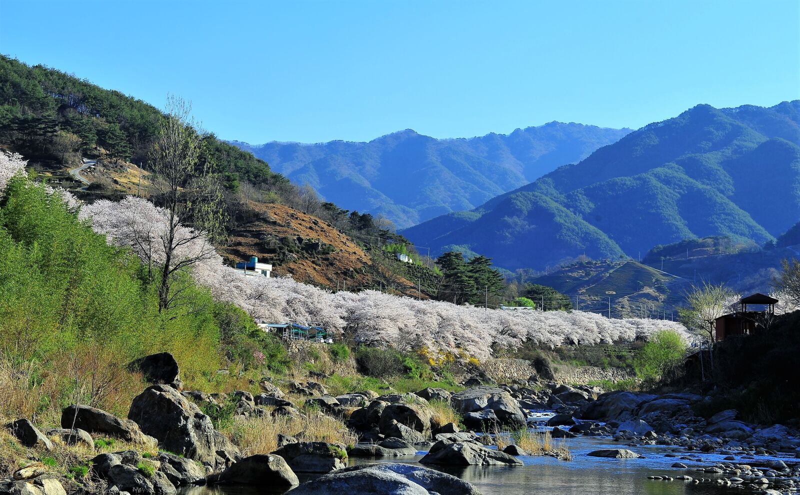 Nikon D3S sample photo. Valley, cherry blossom, spring photography