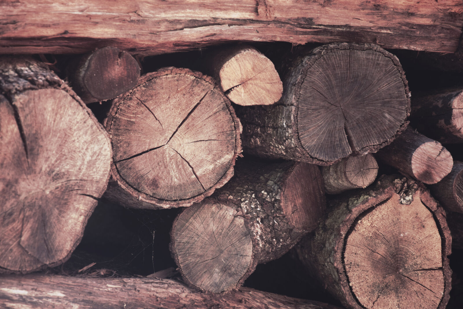 Nikon D3300 sample photo. Autumn, spring, texture, wood photography