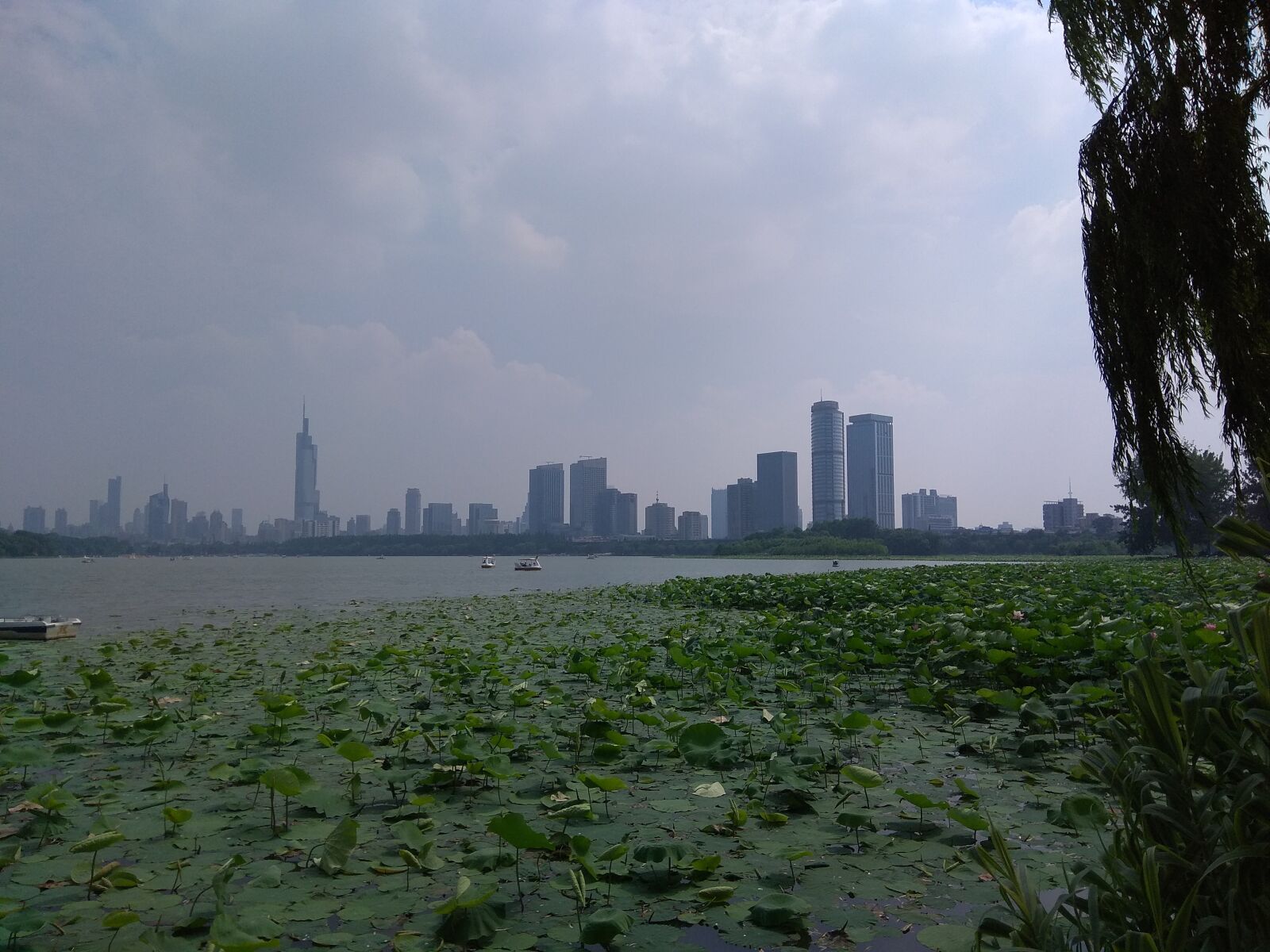 Xiaomi Redmi Note 4X sample photo. Xuanwu lake, lake, nanjing photography