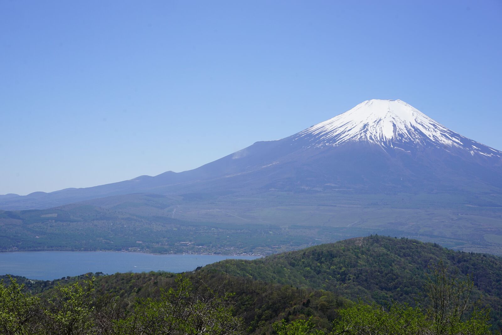 Sony a7 II + Sony Sonnar T* FE 55mm F1.8 ZA sample photo. Mt fuji, natural, japan photography
