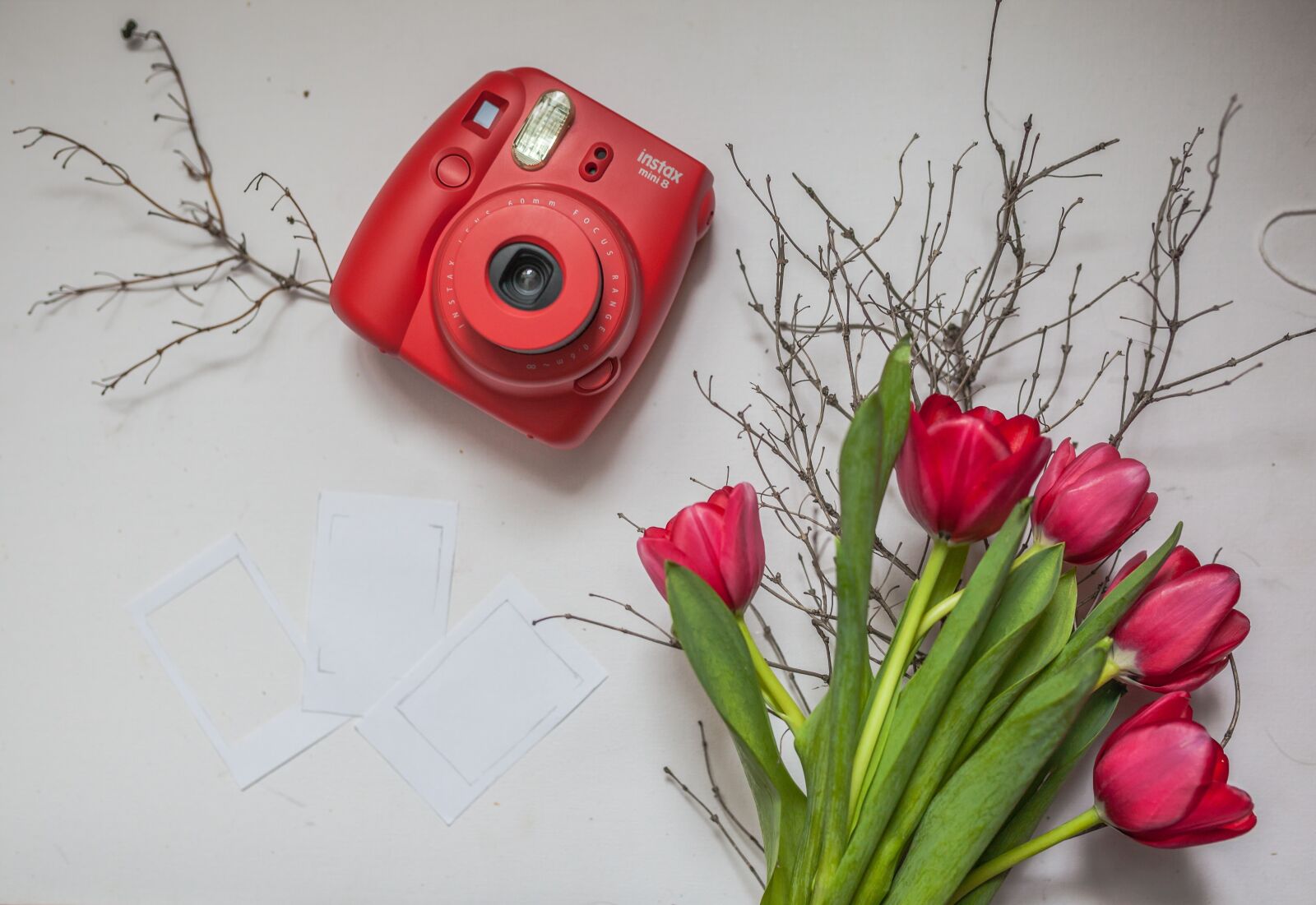 Canon EOS 5D Mark II sample photo. Polaroid, camera, tulip photography