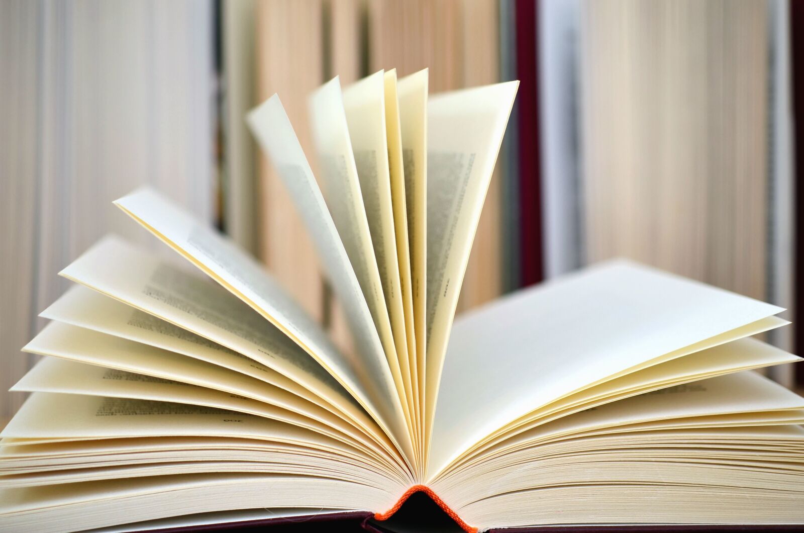Nikon D5100 sample photo. Book, page, learning, study photography