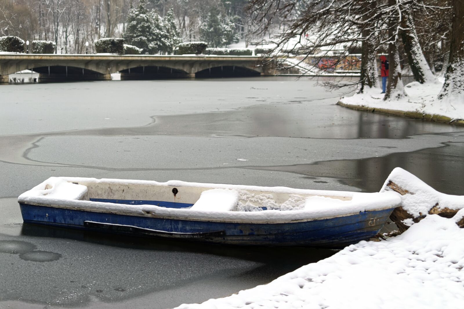 Nikon D5300 sample photo. Landscape, nature, winter photography