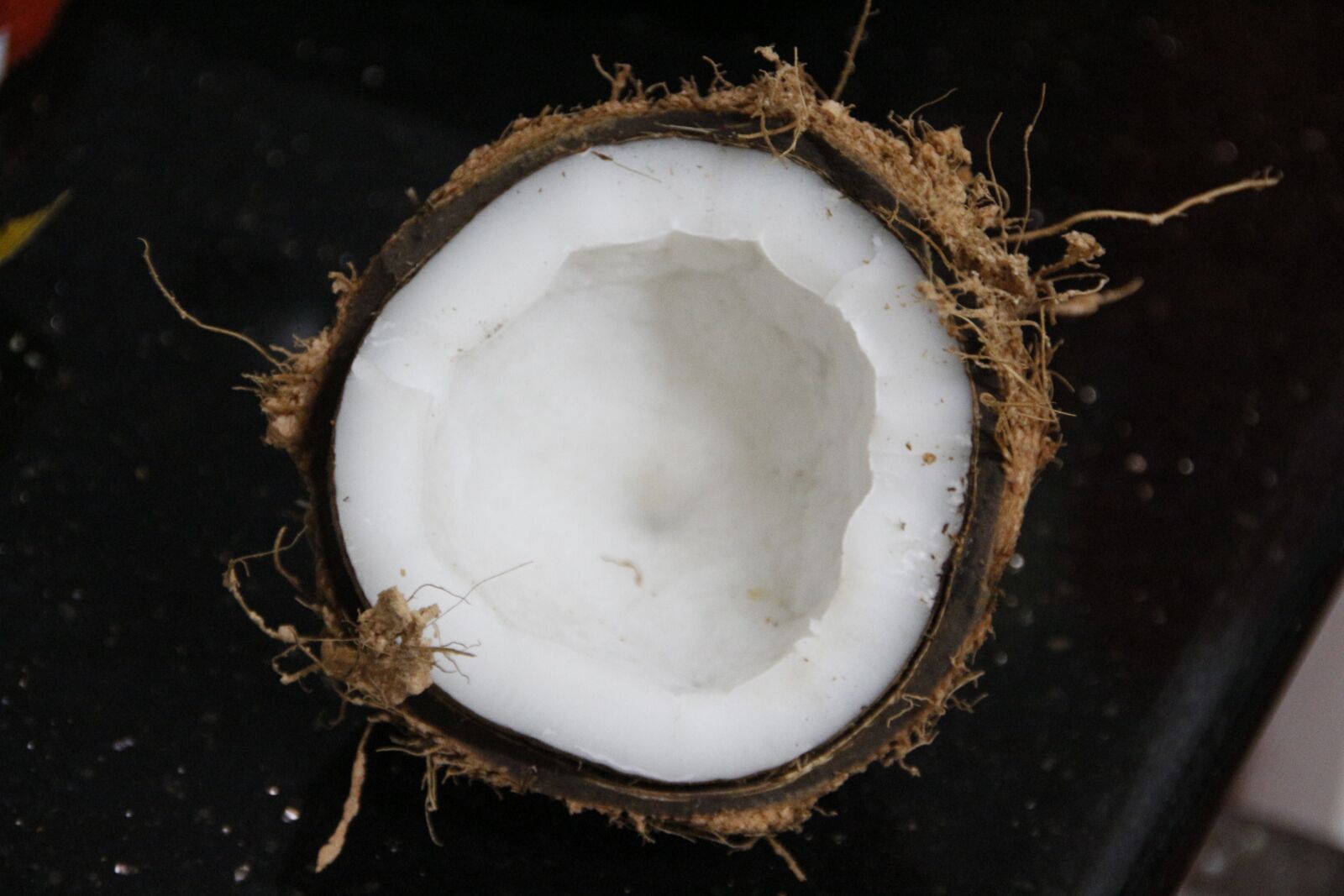 Canon EOS 700D (EOS Rebel T5i / EOS Kiss X7i) sample photo. Food, nature, coconut photography