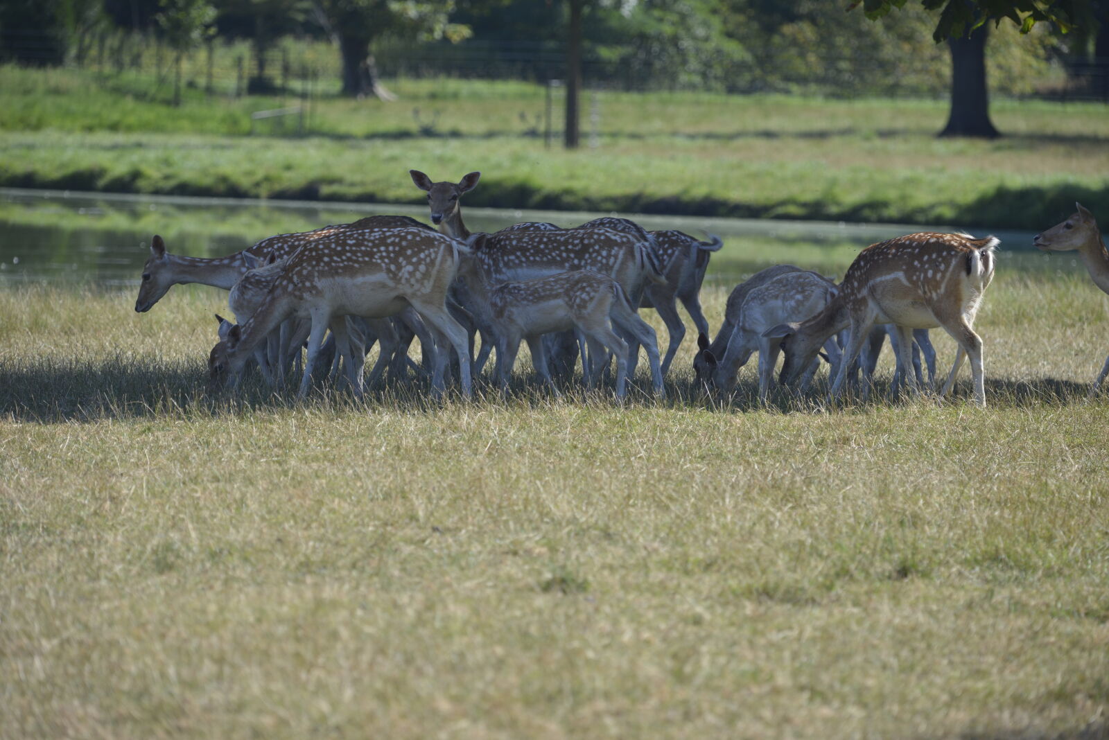 Nikon D800 sample photo