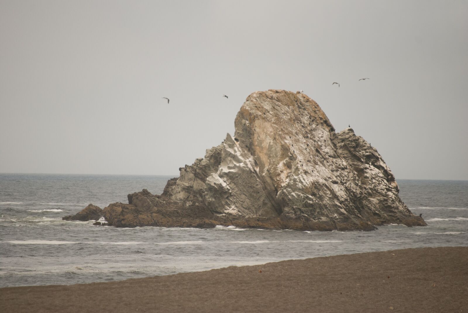Nikon D60 sample photo. Sea, seashore, water photography