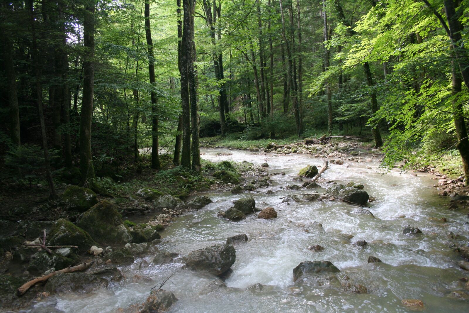 Canon EOS 350D (EOS Digital Rebel XT / EOS Kiss Digital N) sample photo. Forest, switzerland, idyll photography
