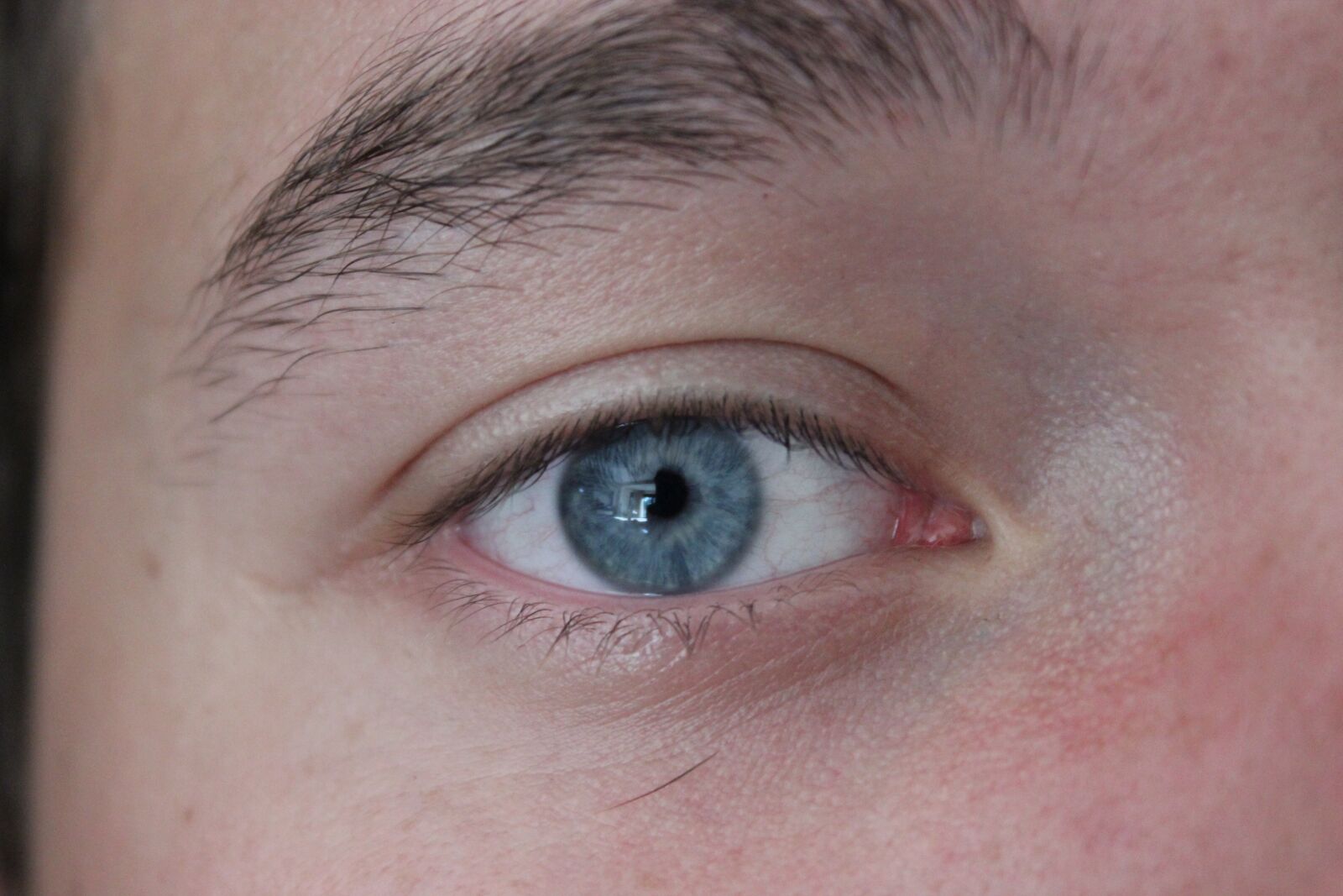 Canon EOS 600D (Rebel EOS T3i / EOS Kiss X5) sample photo. Eye, boy, about photography
