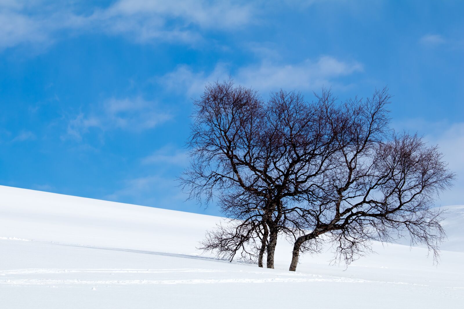 Canon EOS 80D sample photo. Winter, snow, hemavan photography