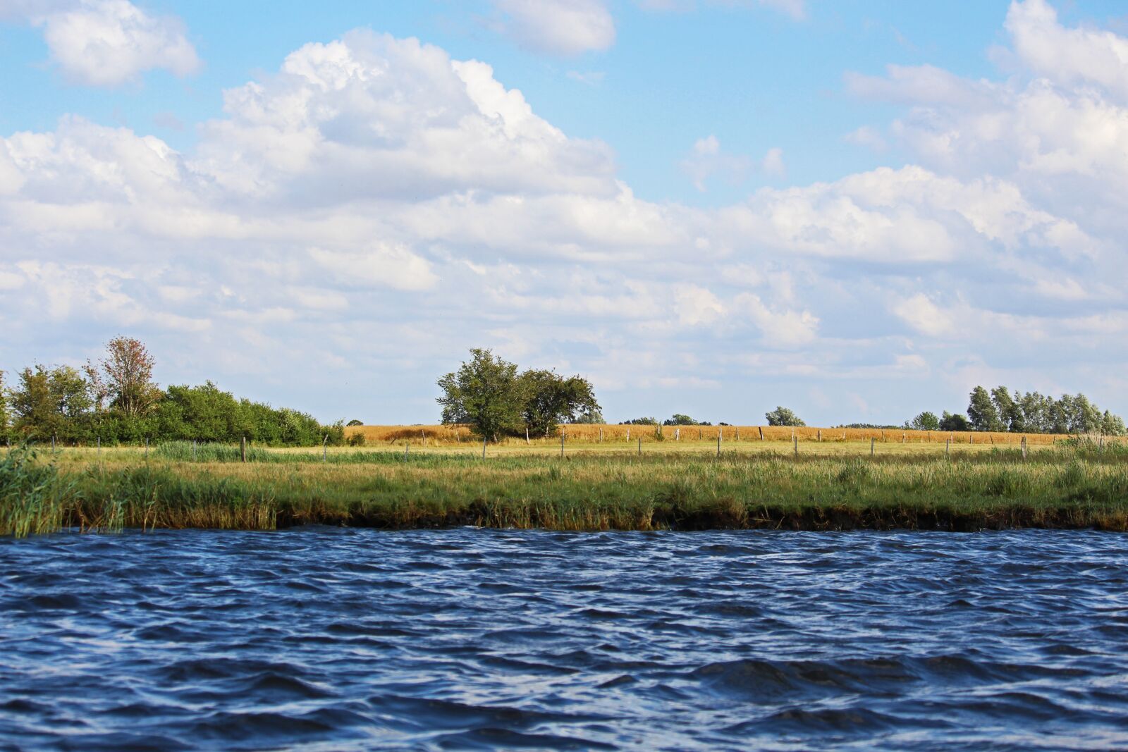 Canon EF-S 55-250mm F4-5.6 IS STM sample photo. Mecklenburg vorpommern, gristow, summer photography