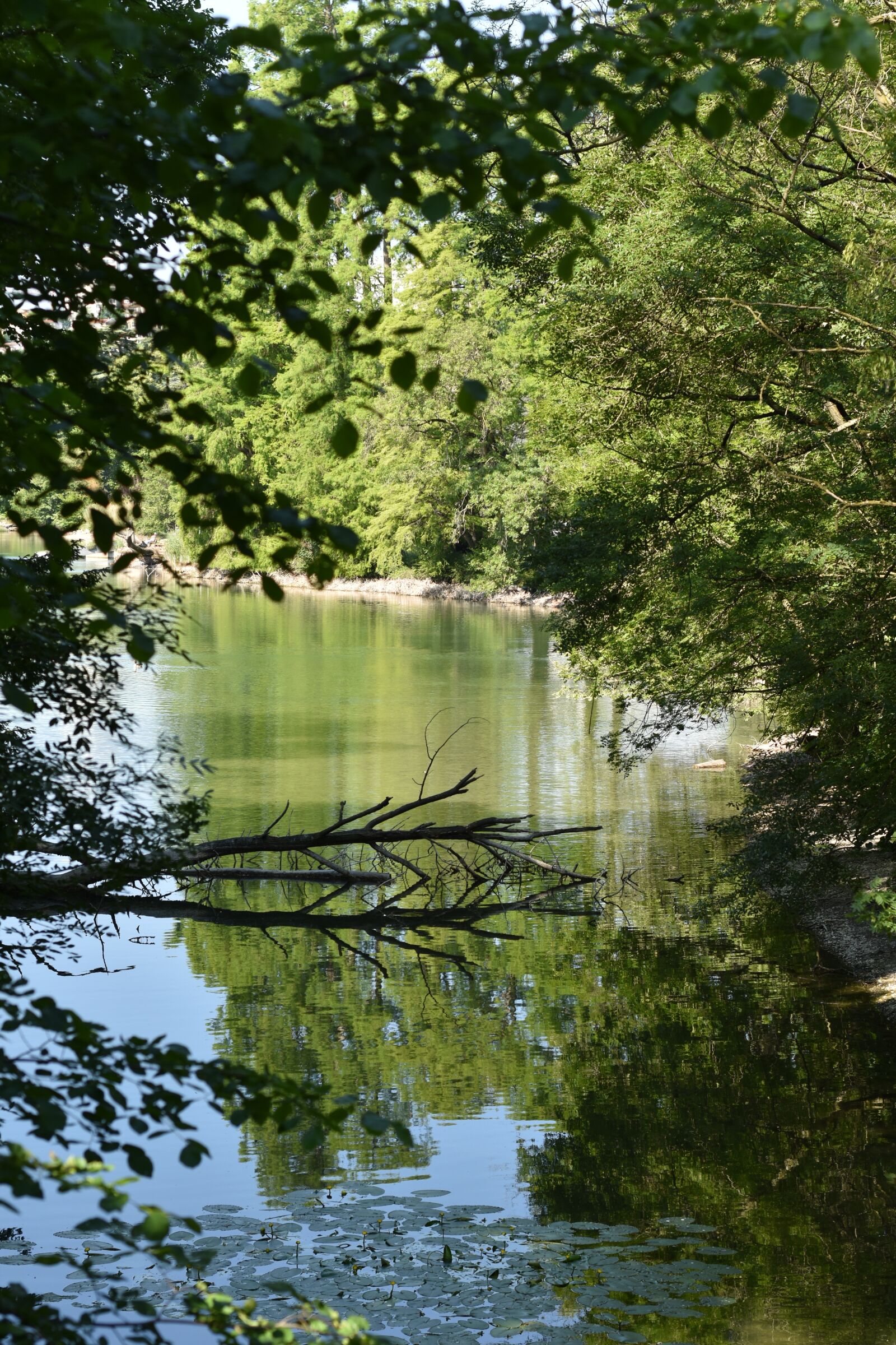 Nikon D3500 sample photo. Lyon, france, park photography