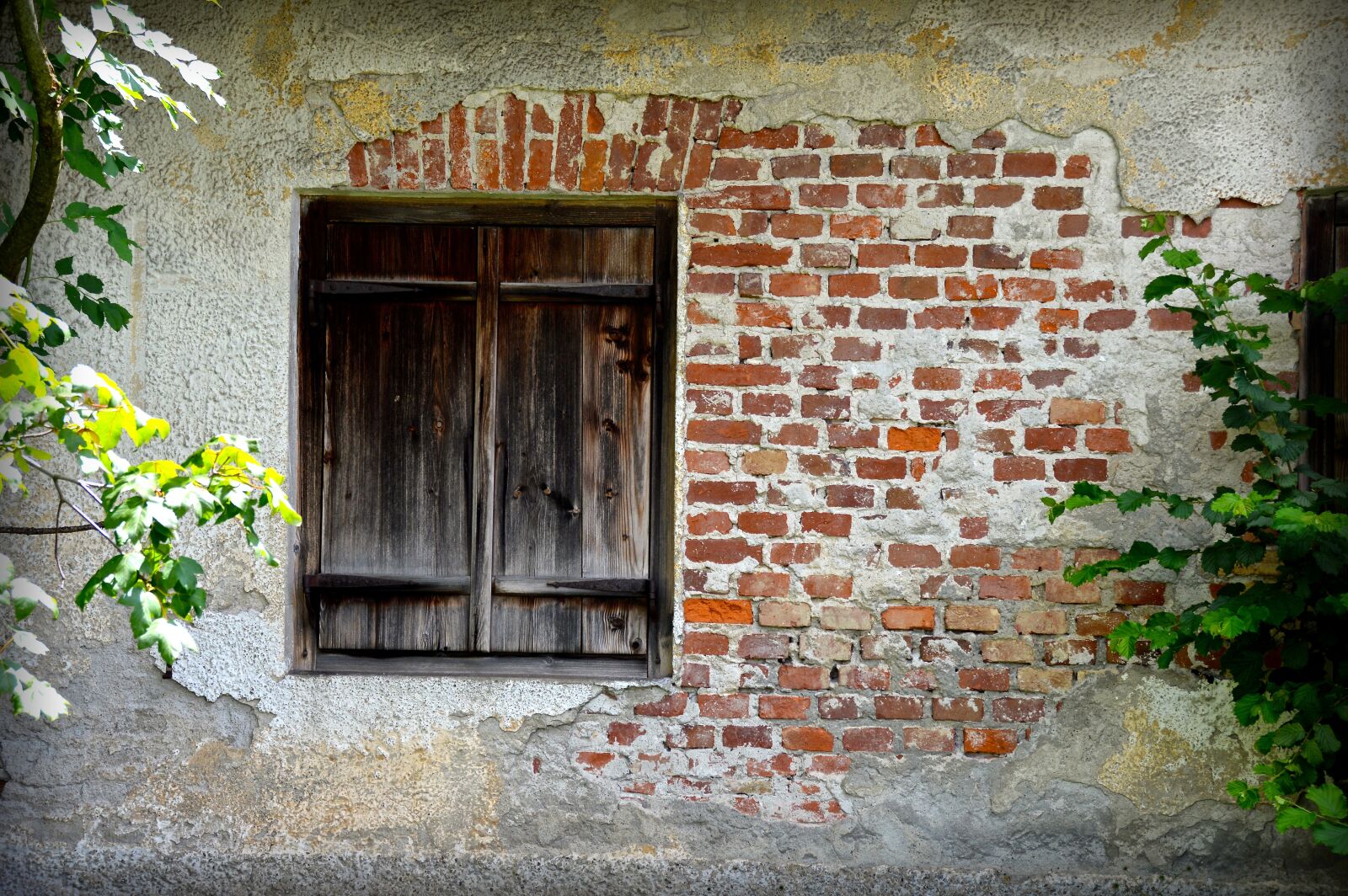 Nikon D3200 sample photo. Window, music, historically photography