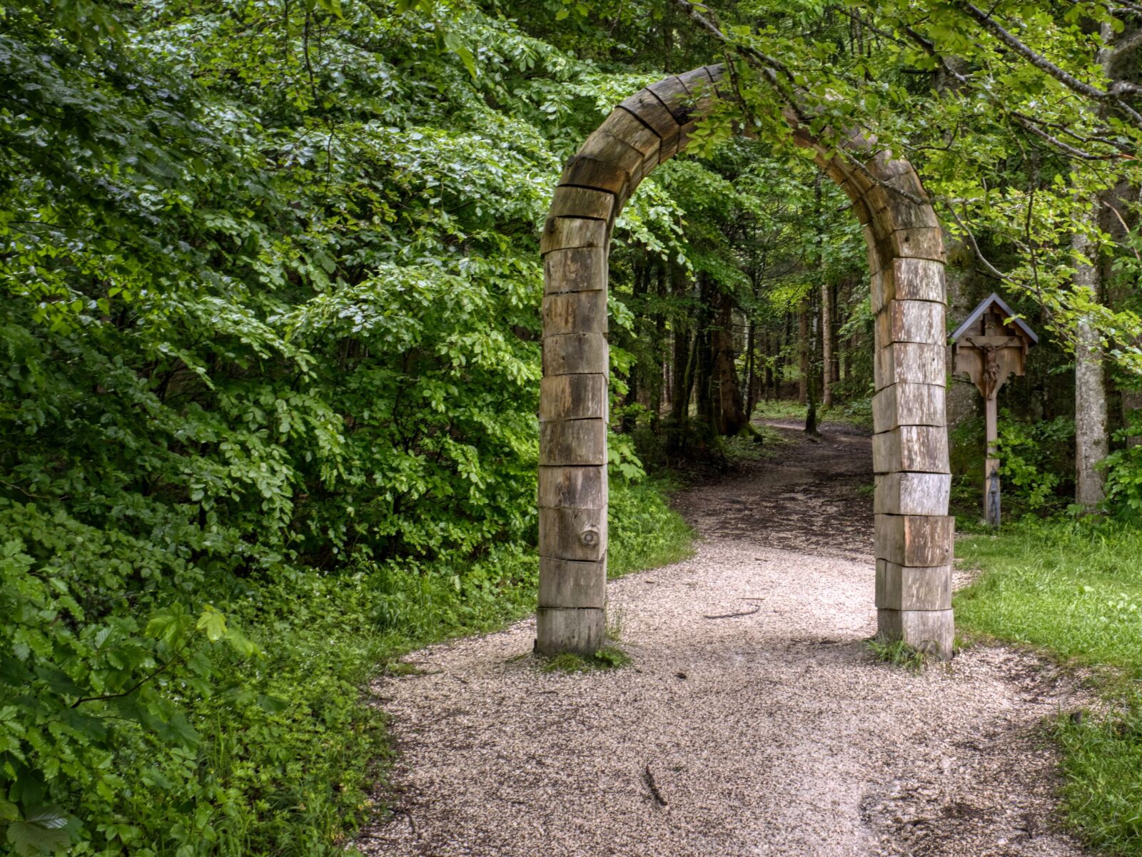 Nikon D7500 sample photo. Away, forest, round arch photography