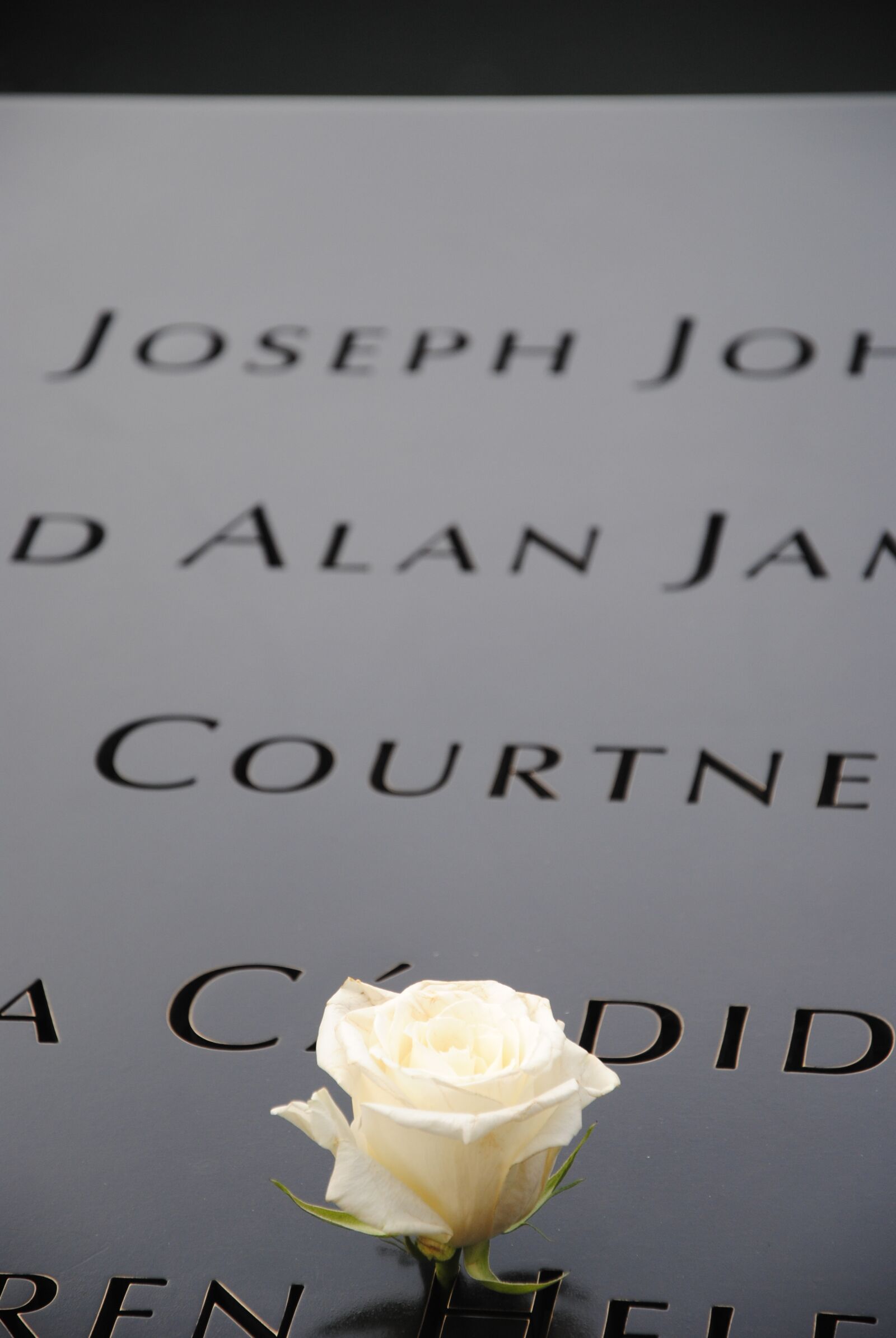 Nikon D3000 sample photo. Ground zero, 9 11 photography