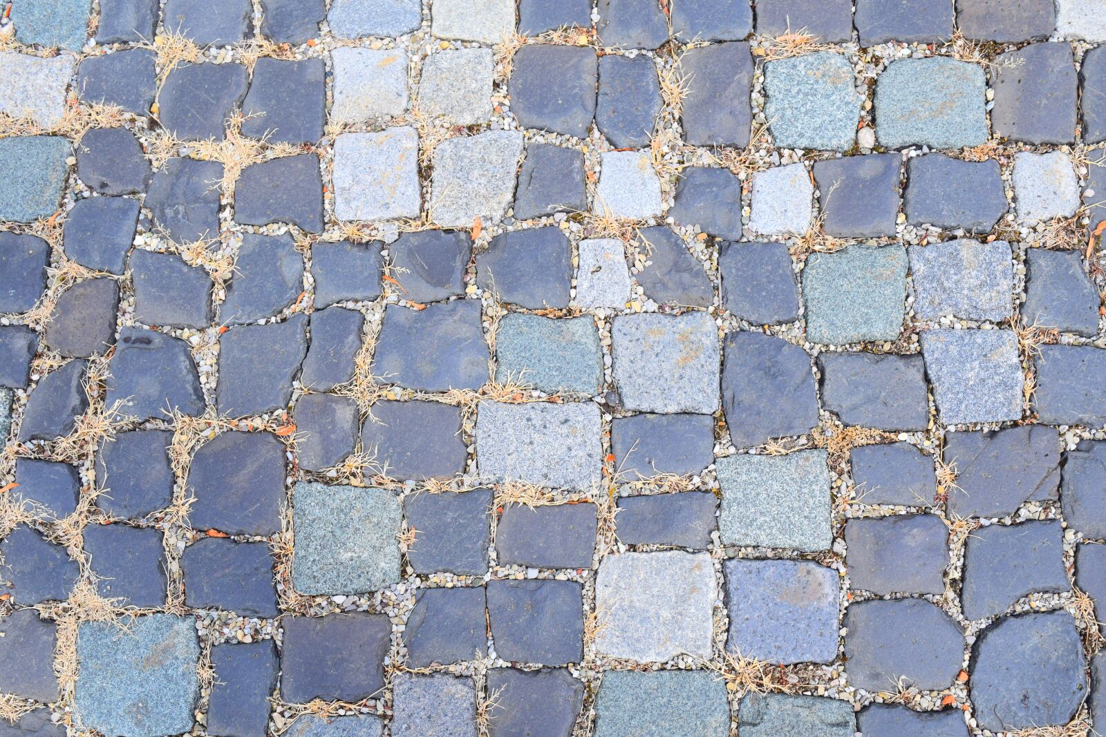 Nikon D3300 sample photo. Cobblestones, background, paving stones photography