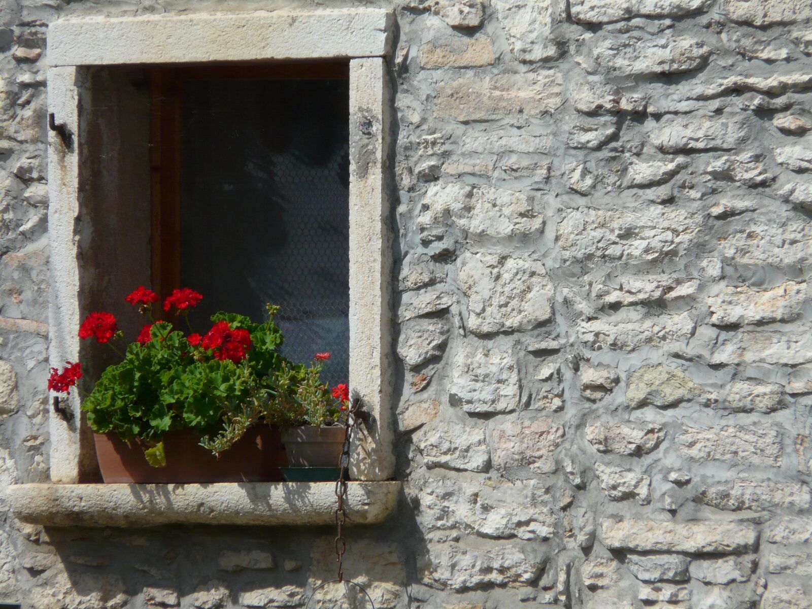 Panasonic DMC-FZ18 sample photo. Window, flowers, decor photography