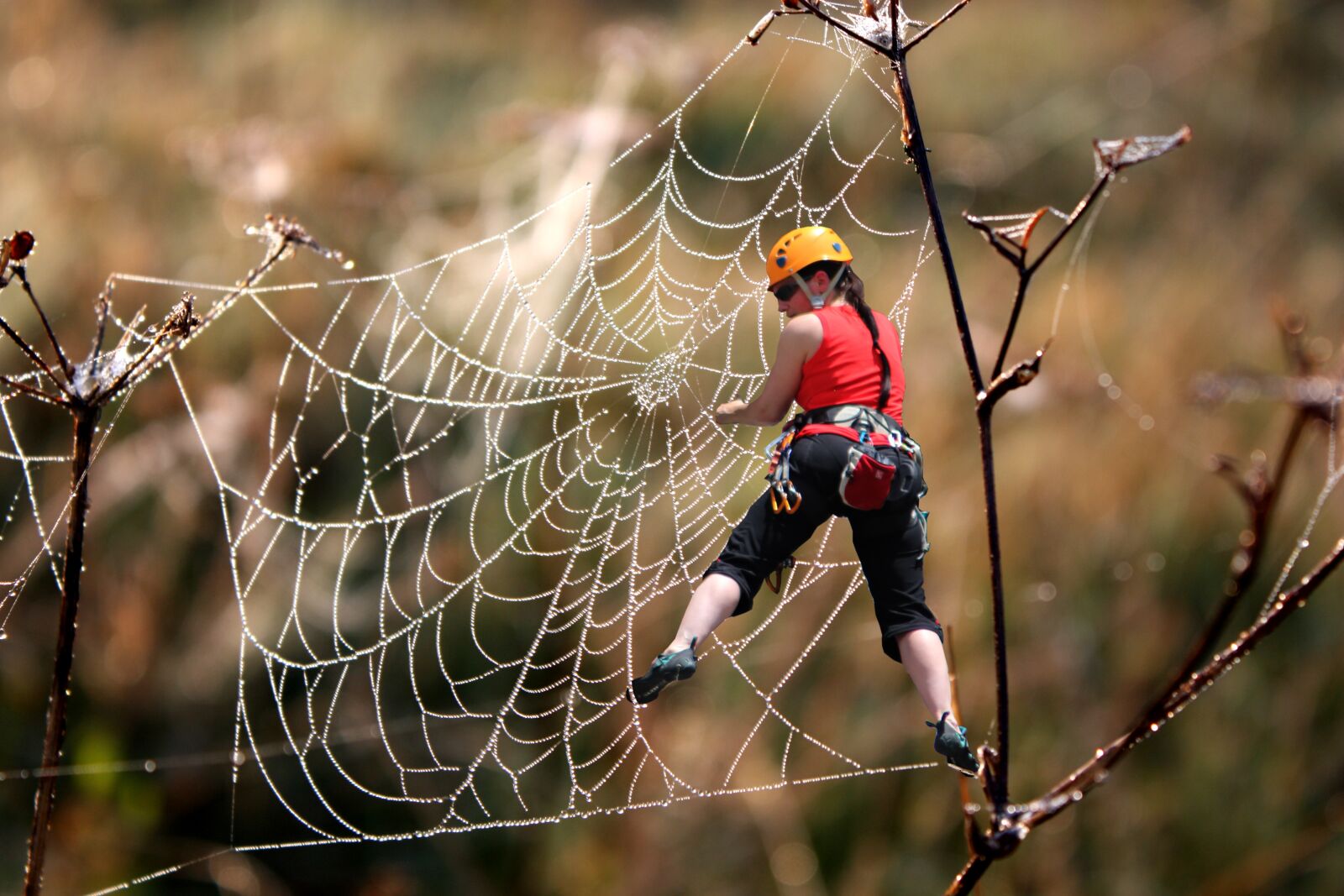 Canon EOS 450D (EOS Rebel XSi / EOS Kiss X2) sample photo. Free climbing, climb, cobweb photography